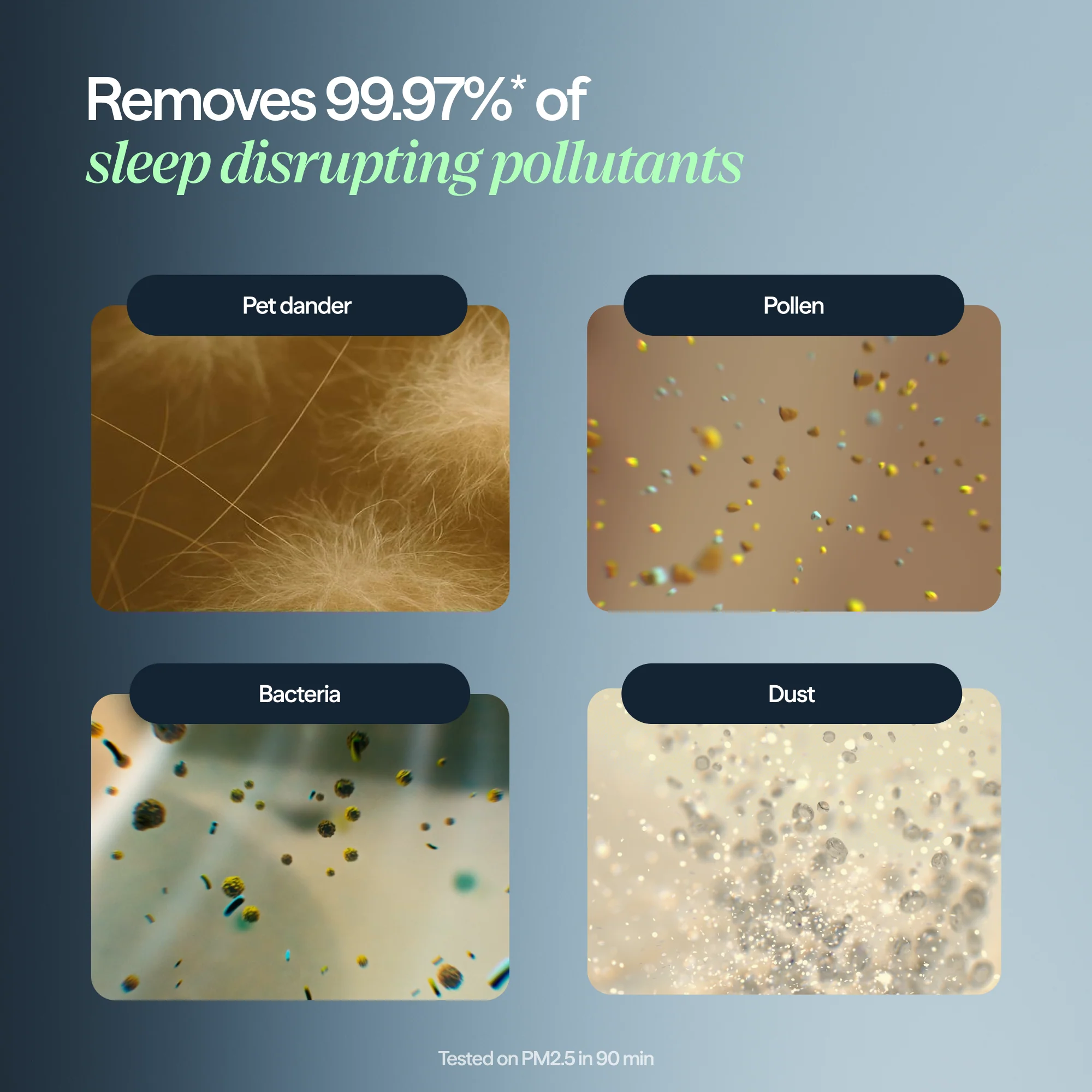 2-in-1 Pro Purify + Humidify Replacement Filter - Image 3