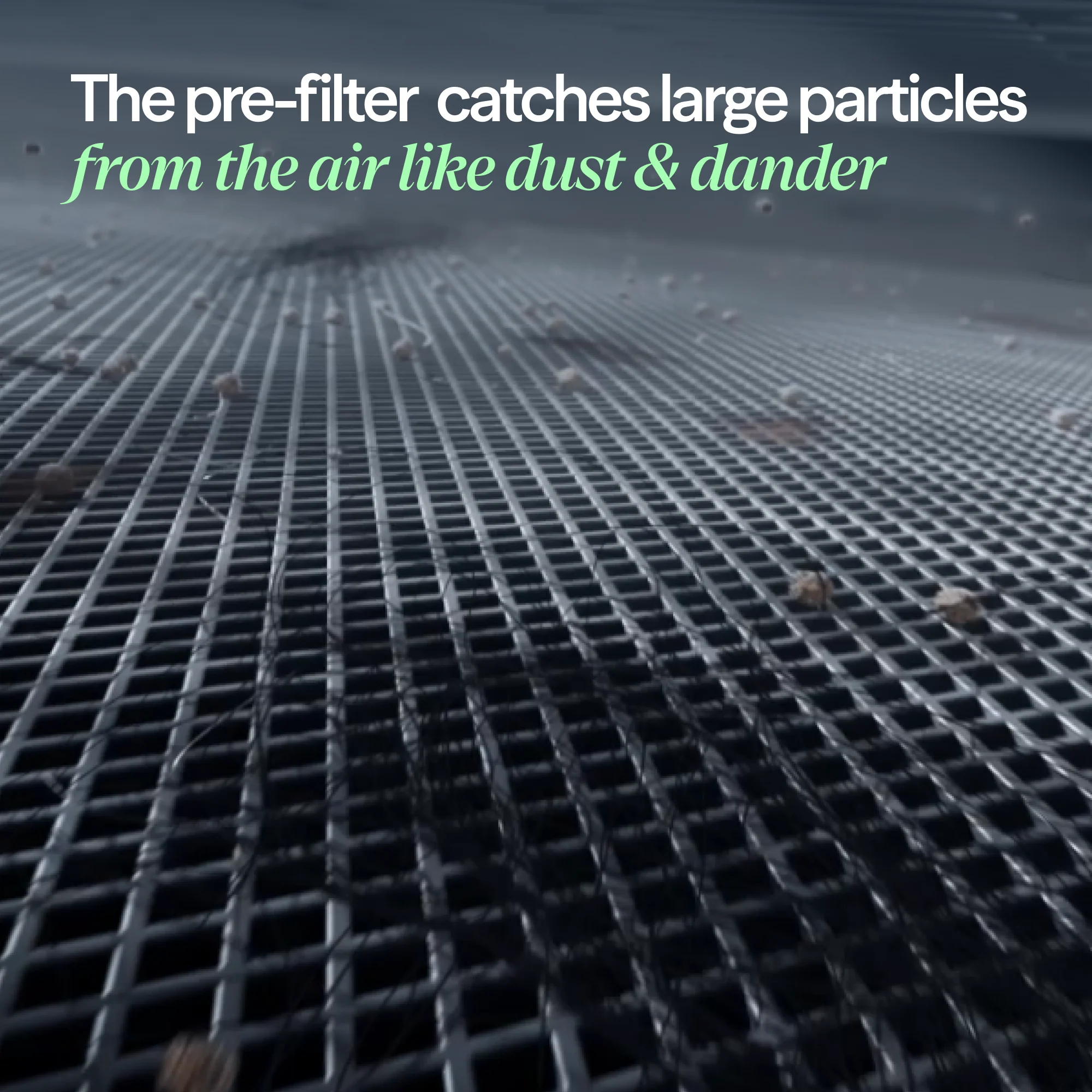 Blue Pure 511i Max Particle + Carbon Filter - Image 8