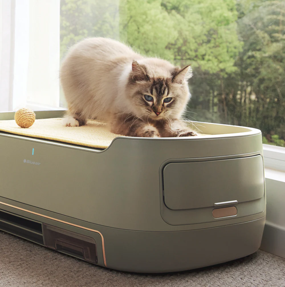 PetAir Pro Scratch Bed - Image 4